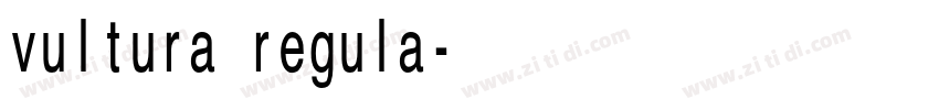 vultura regula字体转换